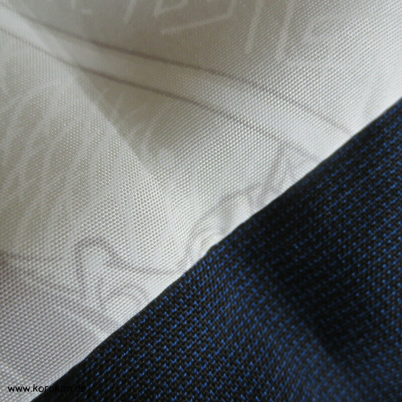 Seiden Michiyuki Kimono Regen Jacke, blau gestreift, dicht geschlagen