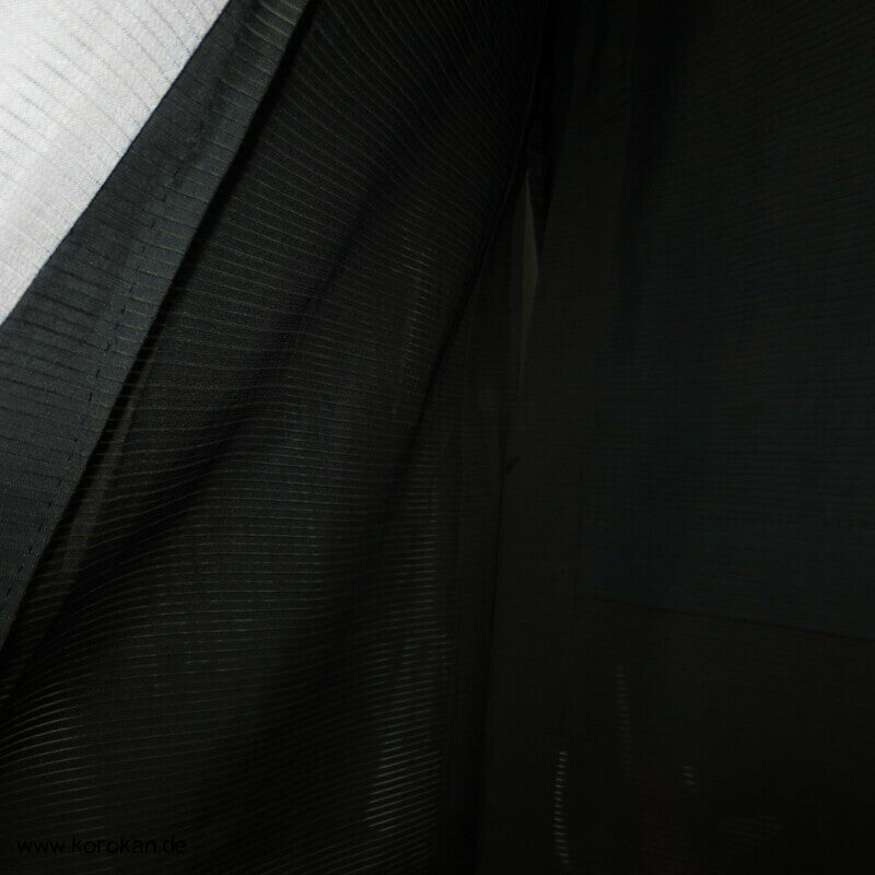 wilde Wellen antiker Hitoe Rho Seiden Tomesode Sommer Kimono