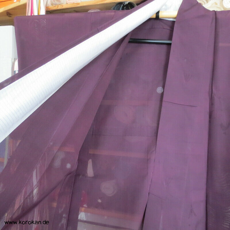 Reisgarben japanischer Hitoe Kimono, Sha Seide Drehergewebe