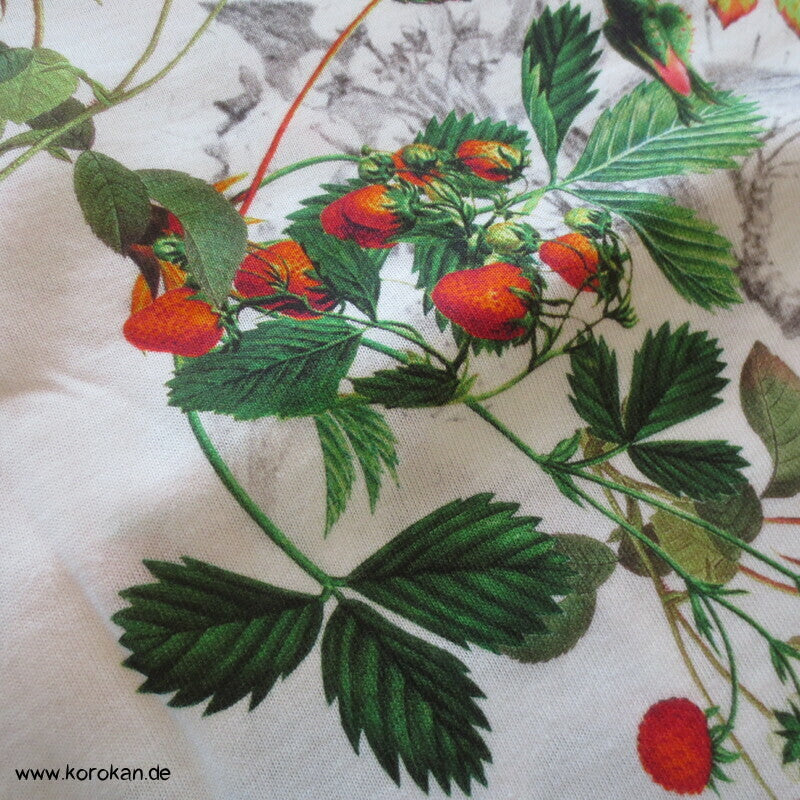 Baumwolljersey Juni, Rosen, Erdbeeren, Schmetterlinge, Mohn
