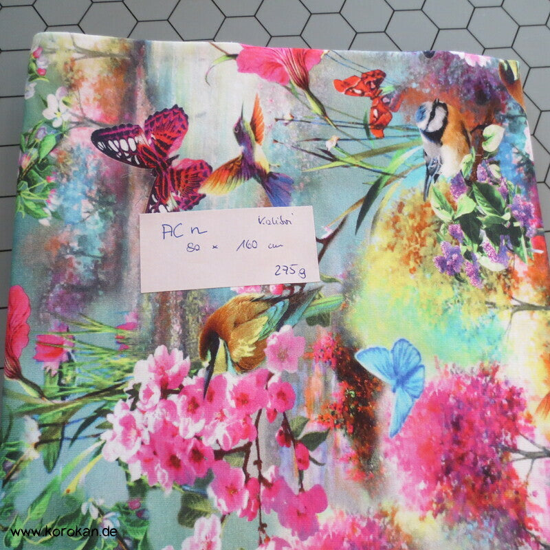 Kolibri und Schmetterlinge Baumwoll Jersey