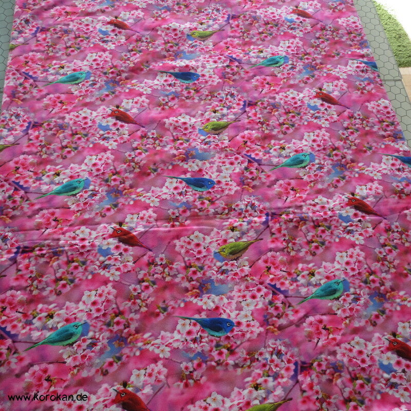 Vögel in Kirschzweige Sakura Baumwoll Jersey