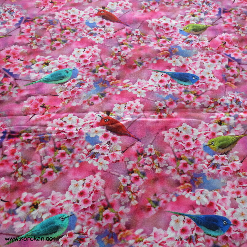Vögel in Kirschzweige Sakura Baumwoll Jersey