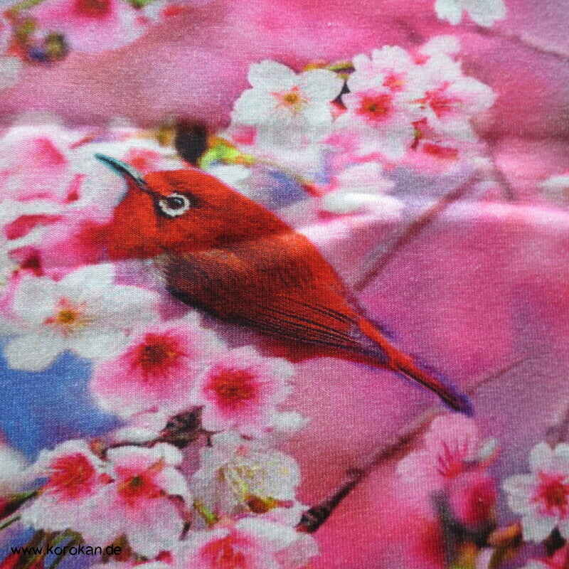 Vögel in Kirschzweige Sakura Baumwoll Jersey
