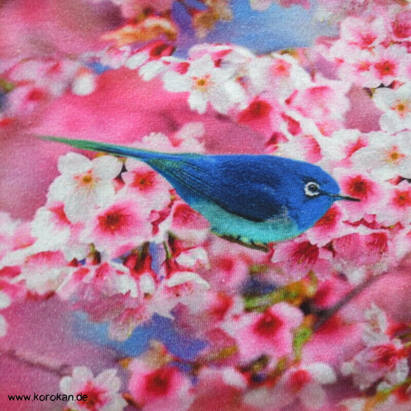 Vögel in Kirschzweige Sakura Baumwoll Jersey