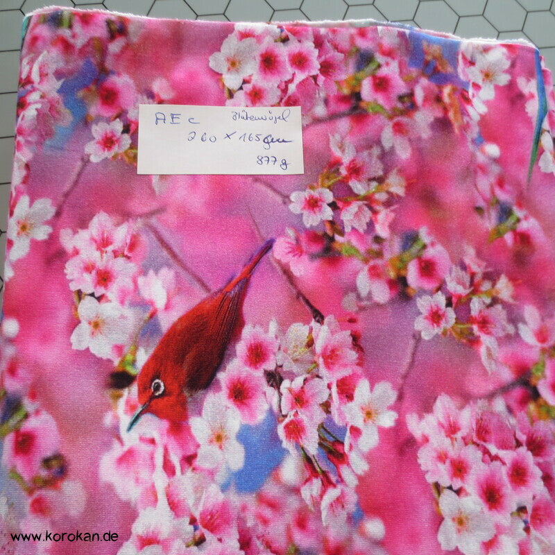 Vögel in Kirschzweige Sakura Baumwoll Jersey