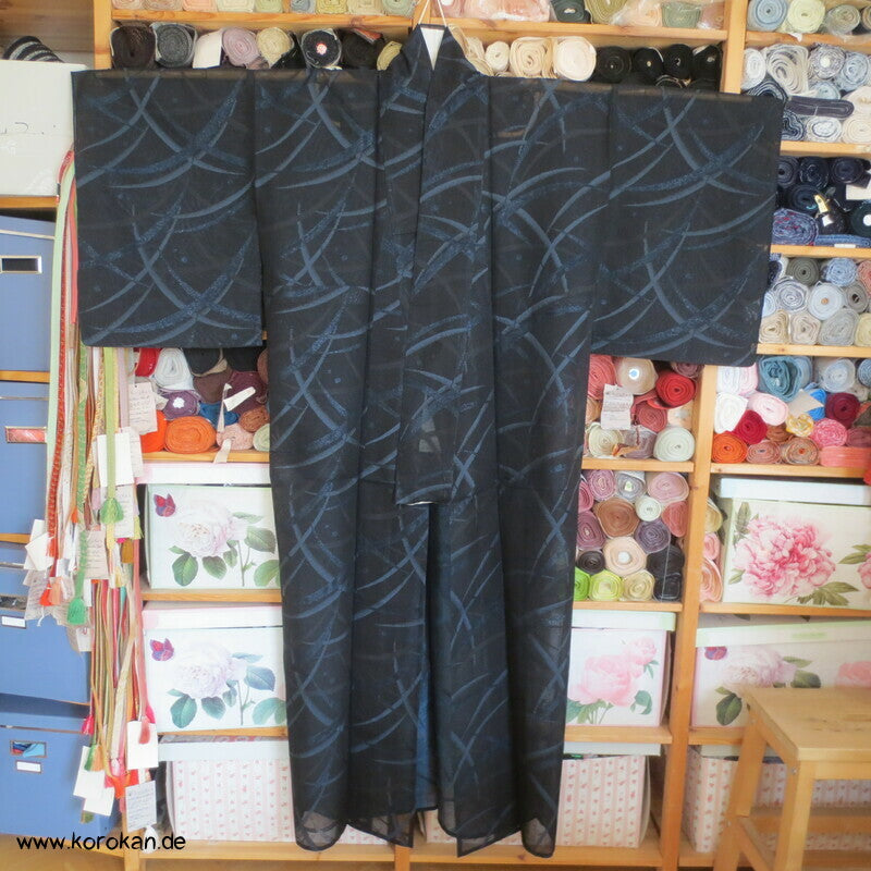 glitzernde blaue Gräser, Hitoe Kimono, halbtransparent Sha Seide