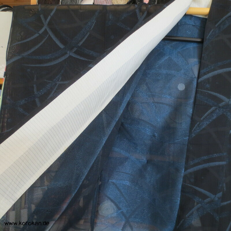 glitzernde blaue Gräser, Hitoe Kimono, halbtransparent Sha Seide
