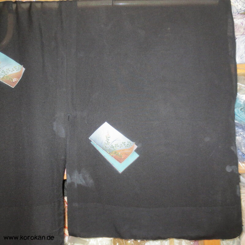 Shikishi Rho Seide Hitoe Homongi Kimono, halbtransparent