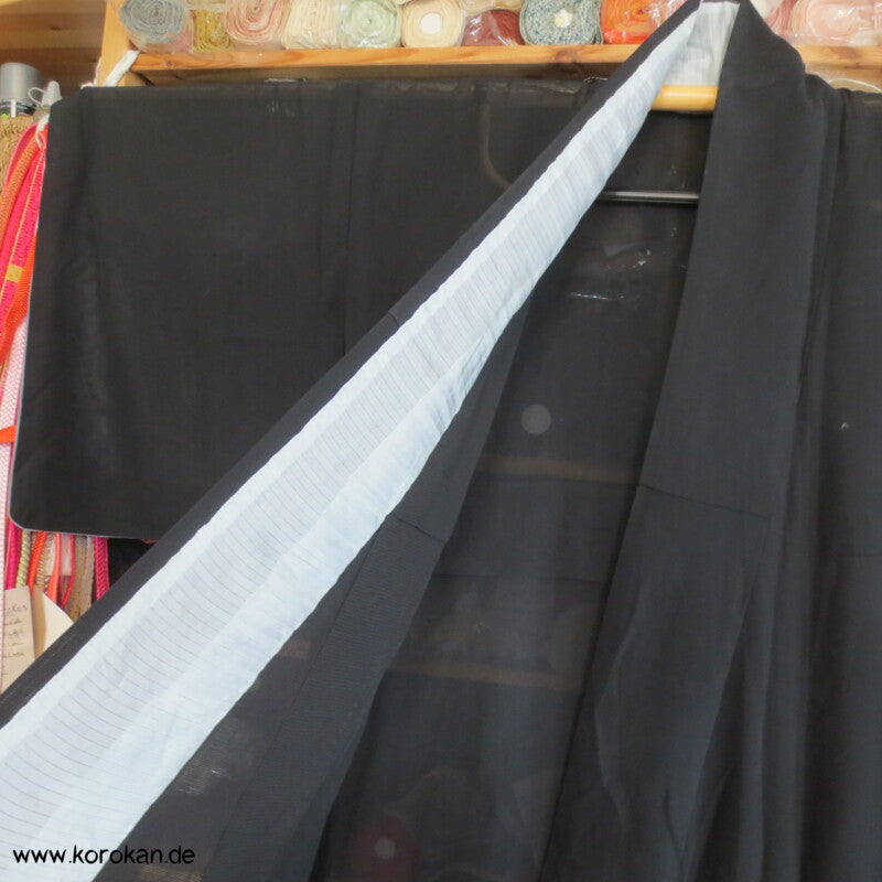 Shikishi Rho Seide Hitoe Homongi Kimono, halbtransparent