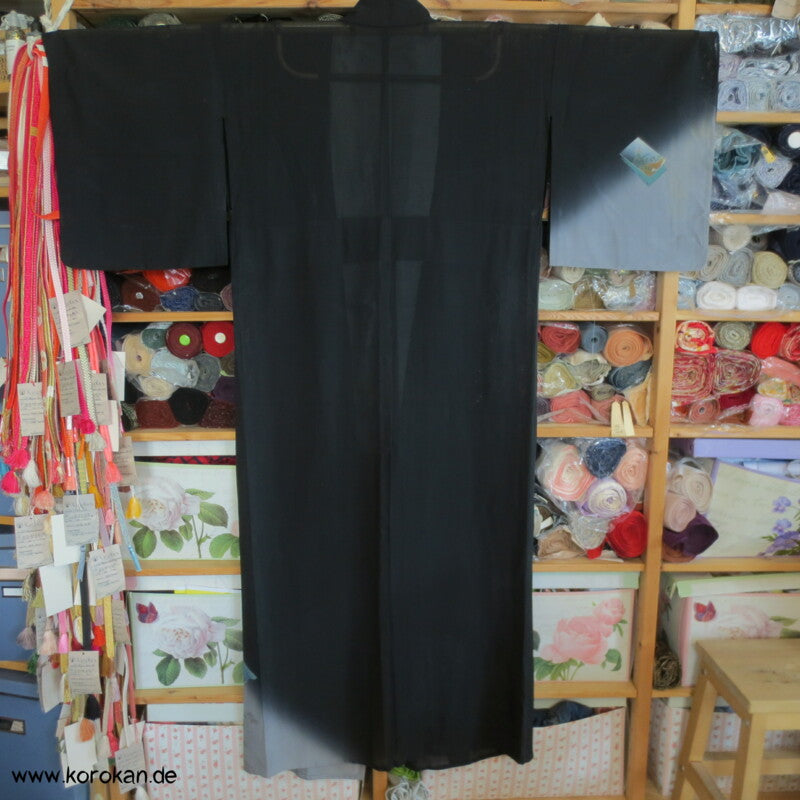 Shikishi Rho Seide Hitoe Homongi Kimono, halbtransparent