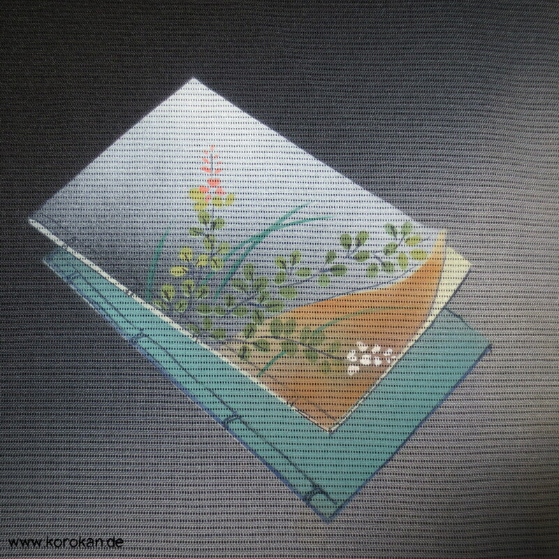 Shikishi Rho Seide Hitoe Homongi Kimono, halbtransparent