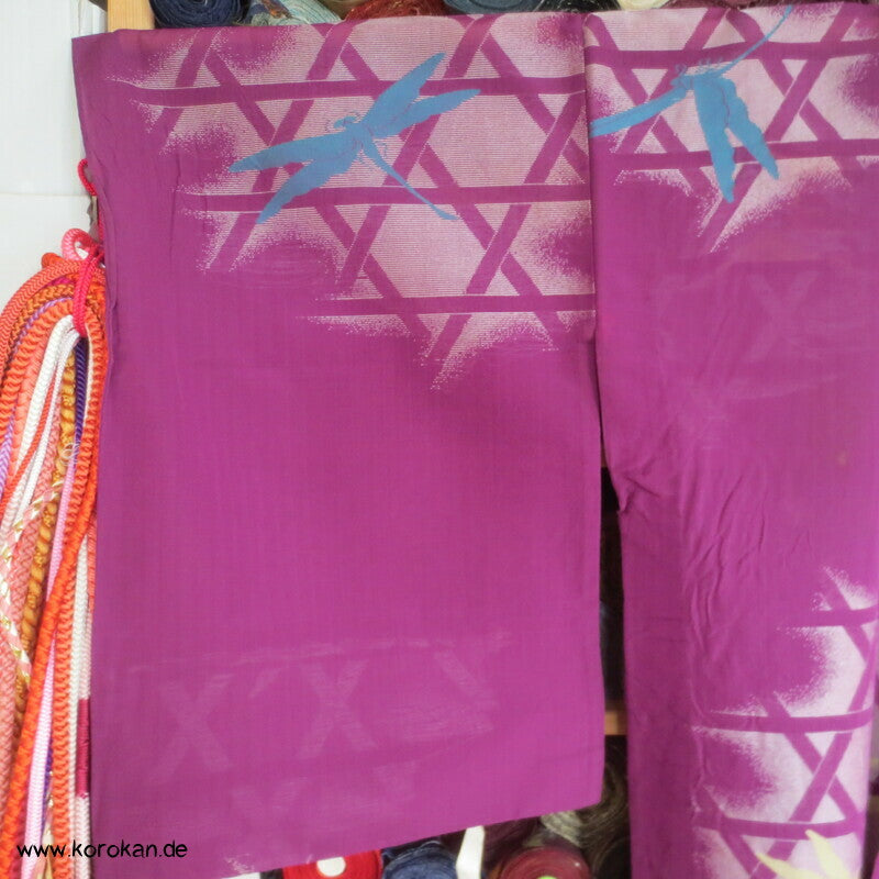 Libellen, Asanoha Geflecht Hitoe Seiden Jacquard Decoupé Kimono