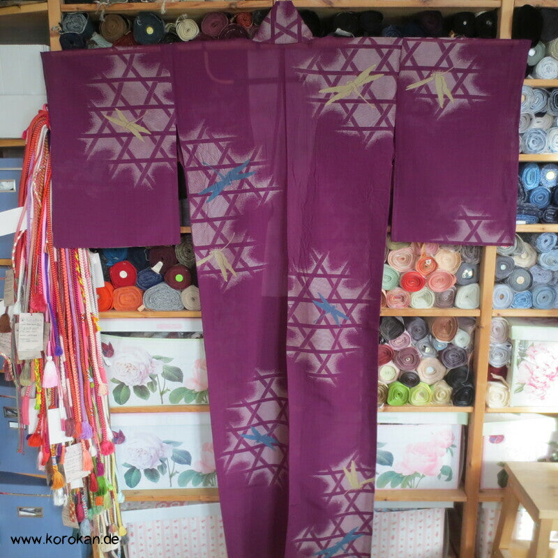Libellen, Asanoha Geflecht Hitoe Seiden Jacquard Decoupé Kimono