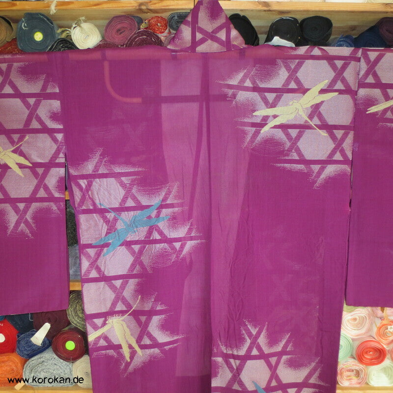 Libellen, Asanoha Geflecht Hitoe Seiden Jacquard Decoupé Kimono