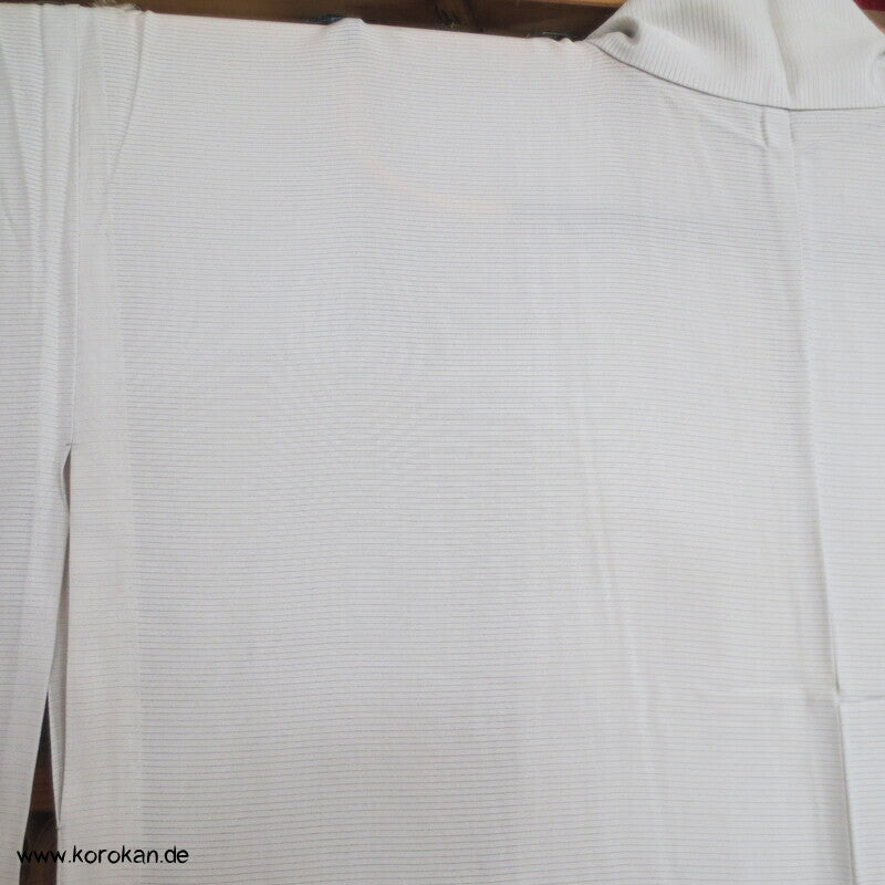zarte Zweige Hitoe Tsukesage Kimono Rho Seide