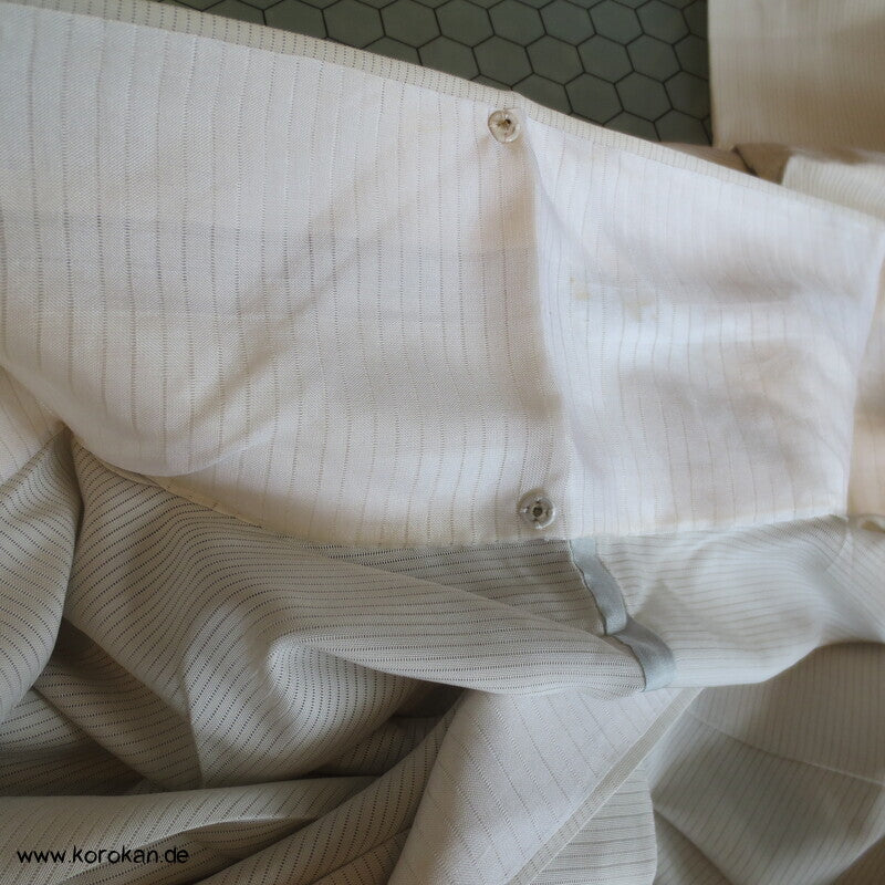 zarte Zweige Hitoe Tsukesage Kimono Rho Seide