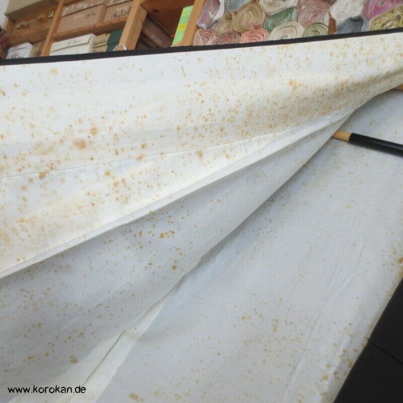 antiker japanischer Seidencrepe Uferwellen und Steine Tomesode Kimono
