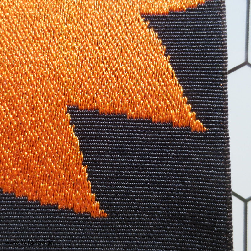 Nadeshiko Grasnelken Blüten orange Obi Araihari