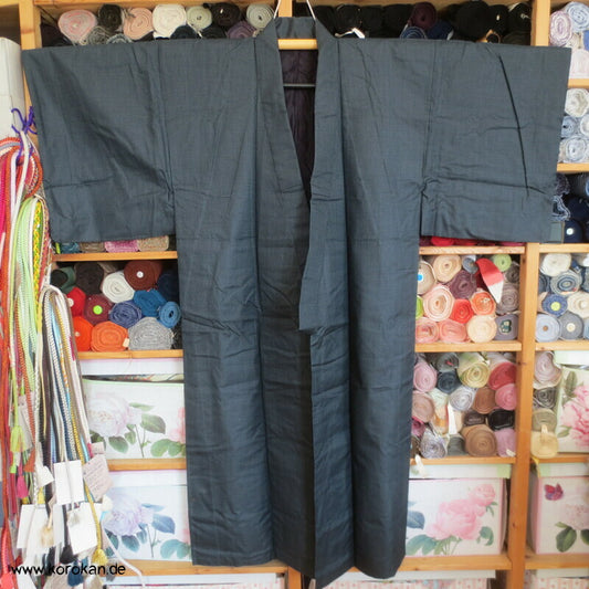 Kikko Kasuri Tsumugi Seiden Komon Kimono