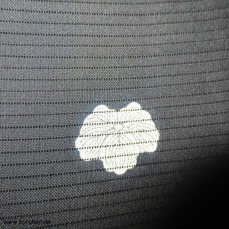 tosende Wellen Tomesode Rho Seide Kimono, halbtransparent