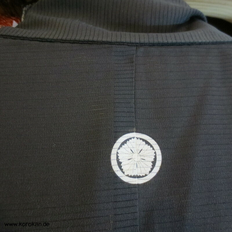 Koi Karpfenteich Tomesode Sommer Kimono Rho Seide