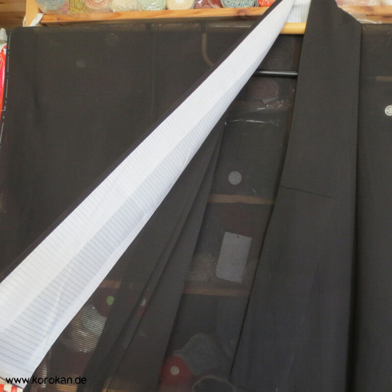 Felsenlandschaft antiker Tomesode Kimono, Rho Seide - halbtransparent