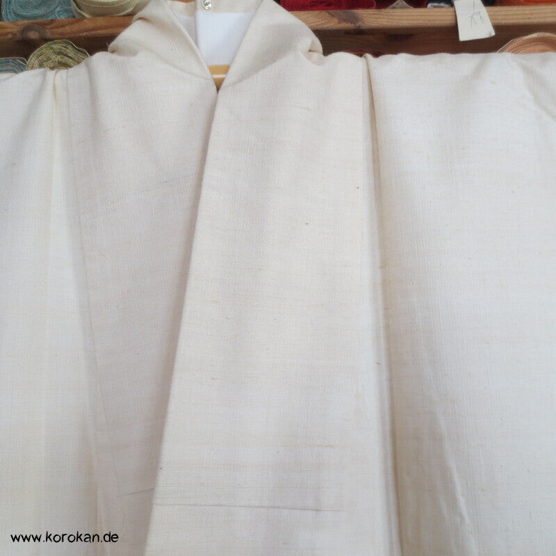 handgewebter Tsumugi Homongi Kimono Frühlingsanfang